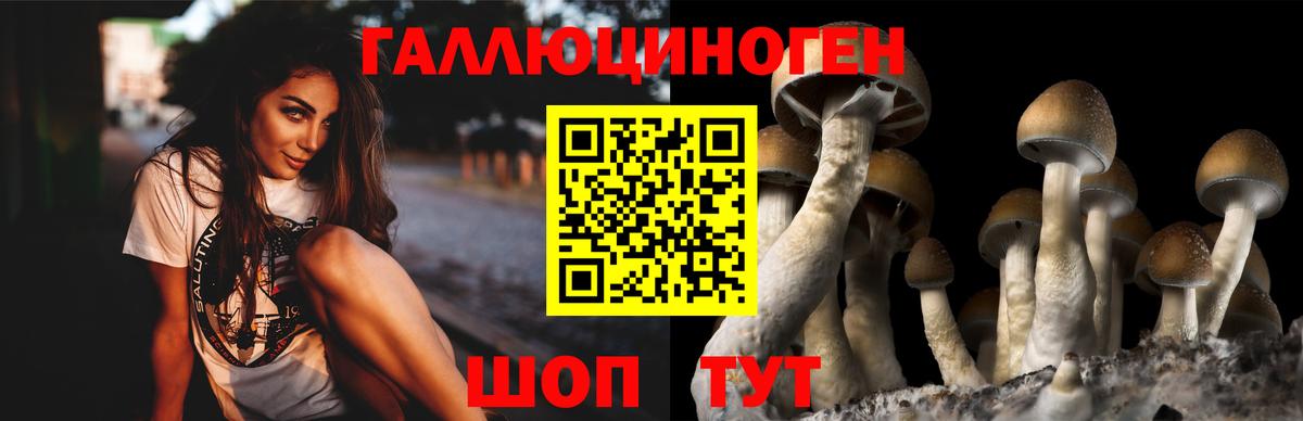 Галлюциногенные грибы мицелий  Вход с VPN  Протвино 